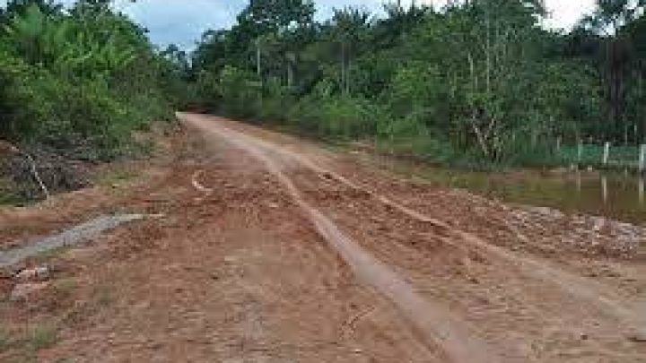 MPC/AM pede providências sobre abertura desenfreada de ramais na BR-319
