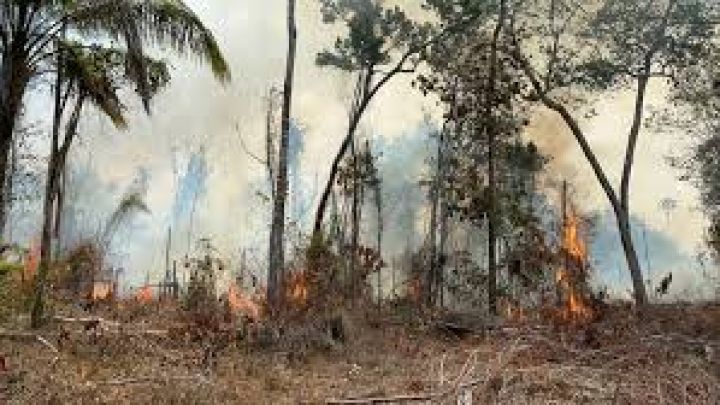 MPC-RR pede que governo suspenda entrega de cestas básicas e contrate mais brigadistas para combater incêndios 